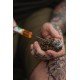 Korda PVA Kontainer System 10л система за PVA
