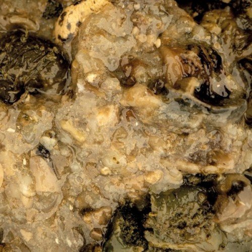 Добавка NashBait  Mussel Blend