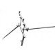 Шаранджийска стойка от неръждавейка Carp Focus Centurion Rod Pod Inox GL Stainless Steel